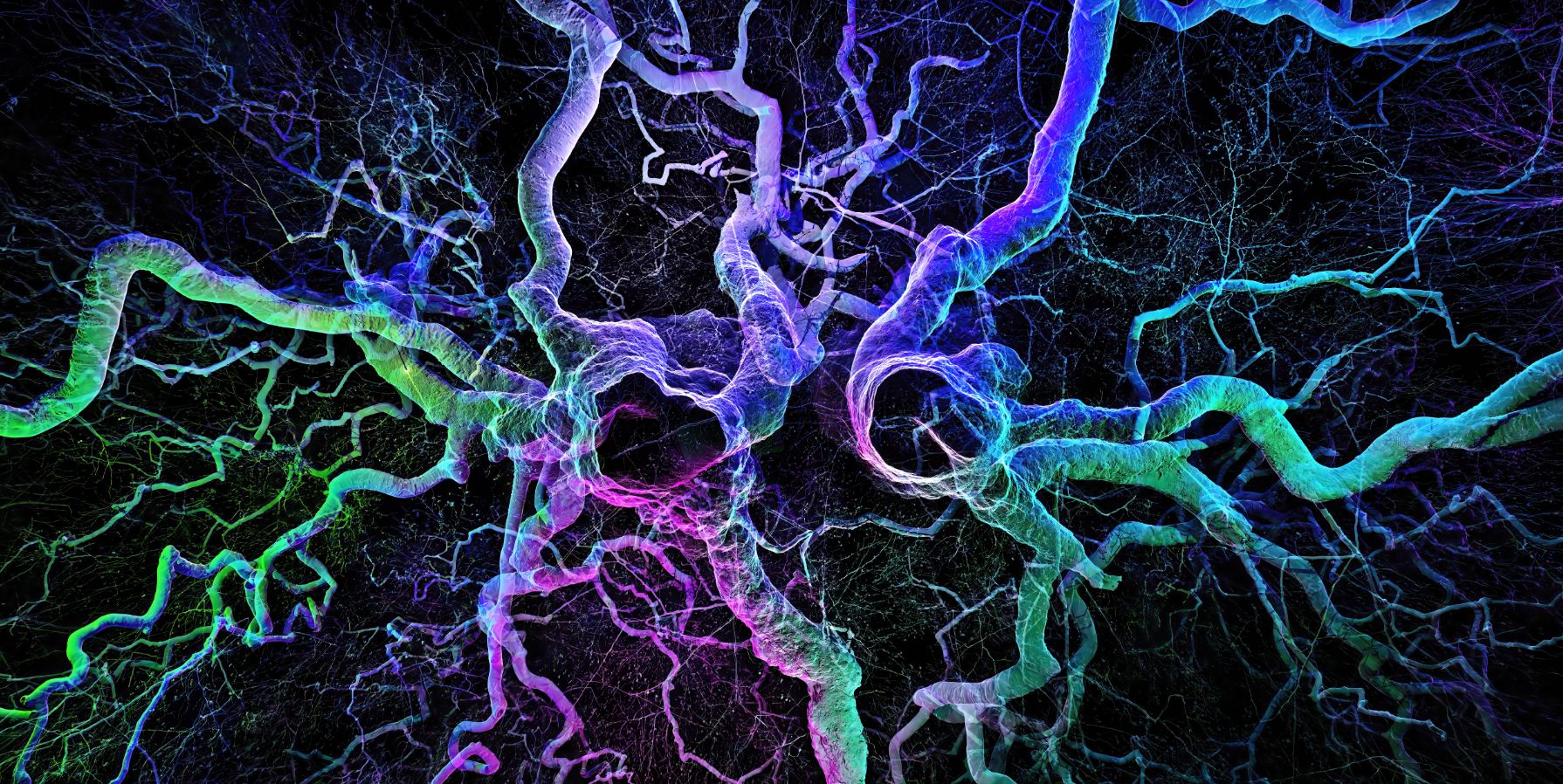 OpenScanTools - Tree